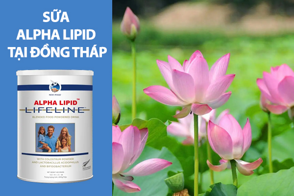 Sữa non Alpha Lipid mua ở đâu chính hãng tại Đồng Tháp