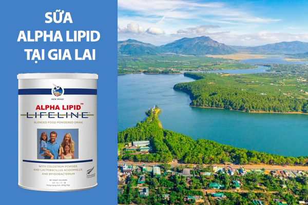 Sữa Alpha Lipid mua ở đâu chính hãng tại Gia Lai