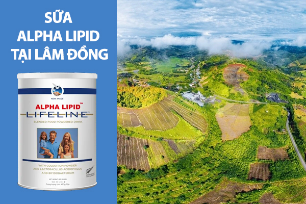 Sữa Alpha Lipid mua ở đâu chính hãng tại Lâm Đồng